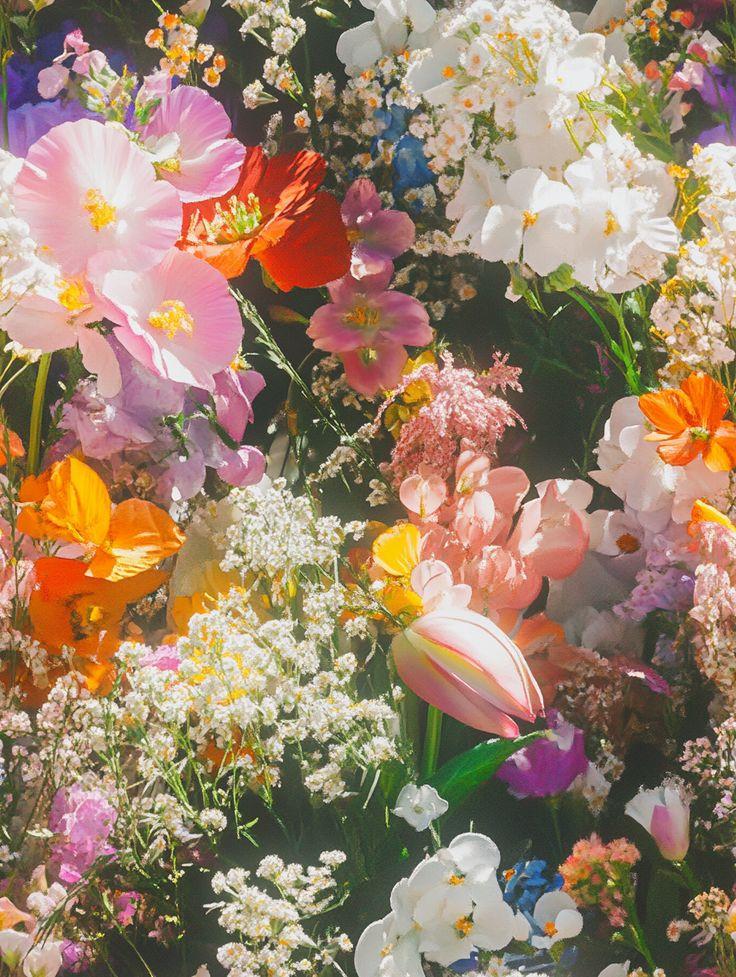 Eternal Spring Vibrance Gift Cluster